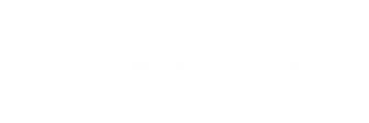 Techno Pack